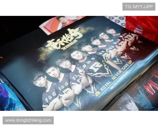 RNG耐力对比深度解析：战队表现与选手状态的全方位剖析