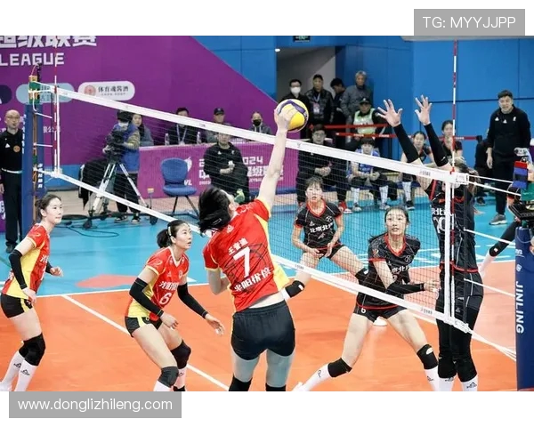 上海排球队比赛经验的创新与变革引发热议