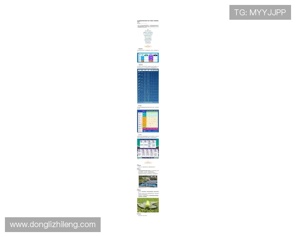 上海网球队在联赛中的节奏表现分析与未来展望