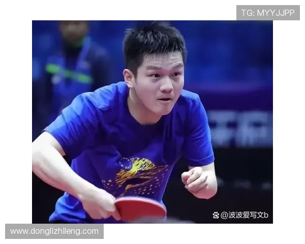 乒乓球力量榜单揭晓上海乒乓球队荣获第五名佳绩