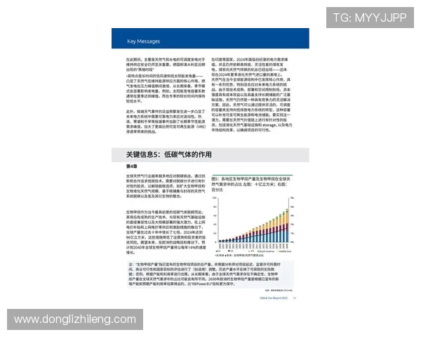 全球挑战赛评析LNG在赛事中的速度表现与技术优势探讨
