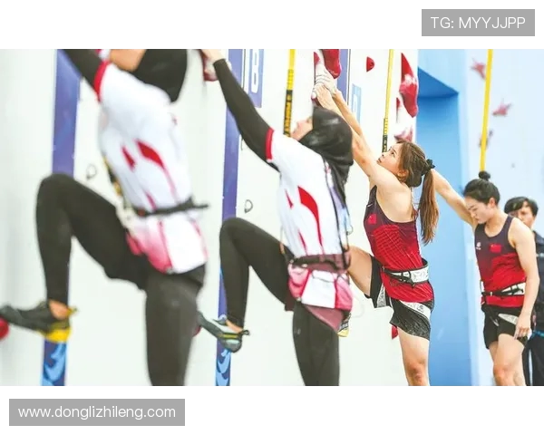 成都攀岩队协作技巧与团队配合的深入分析与探讨