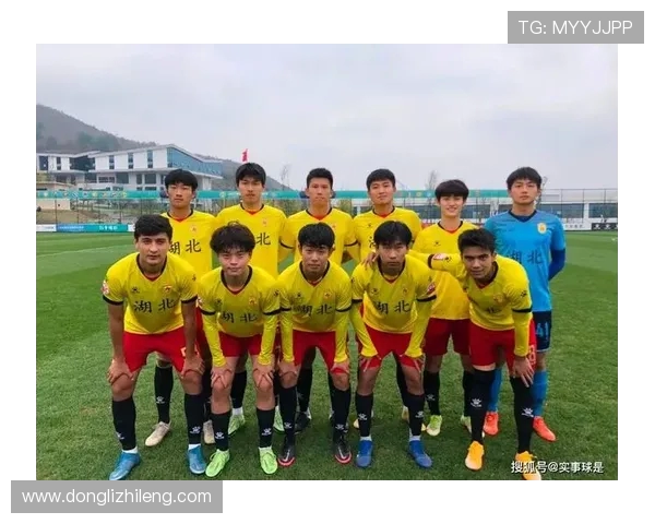 成都足球队与武汉足球队实力对比赛后分析与总结