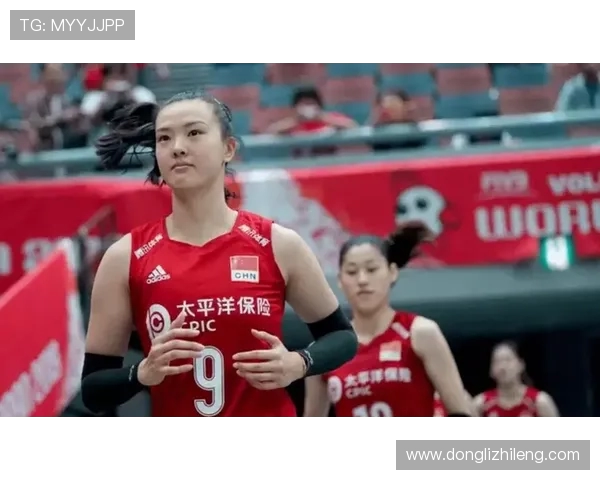 杭州排球队在全国排球配合排行榜中荣获第六名的佳绩引发关注