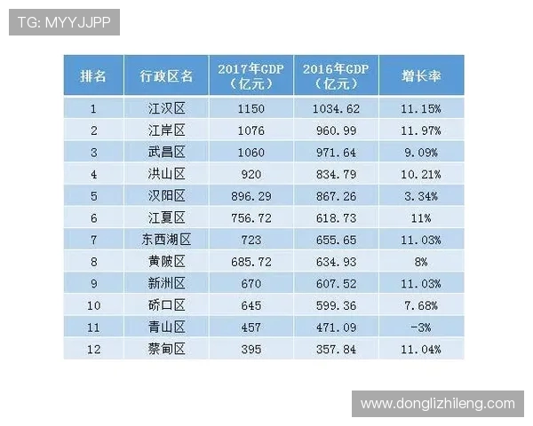 武汉排球队在挑战赛中的实力展现与未来发展潜力分析
