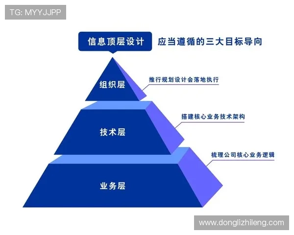 深圳排球队的转型之路与未来发展展望解析