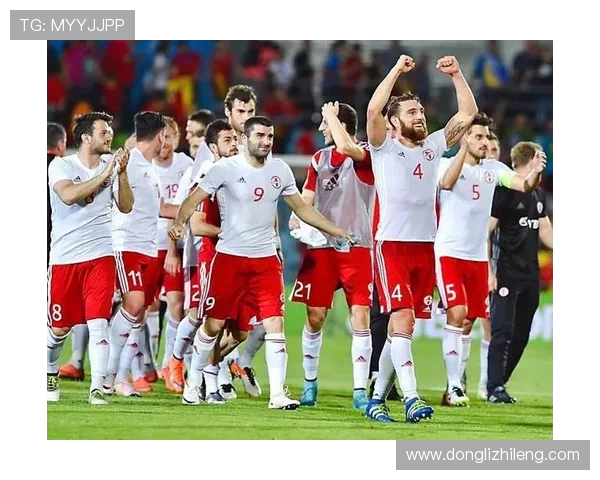 奥地利与格鲁吉亚足球对决分析及胜负推荐建议