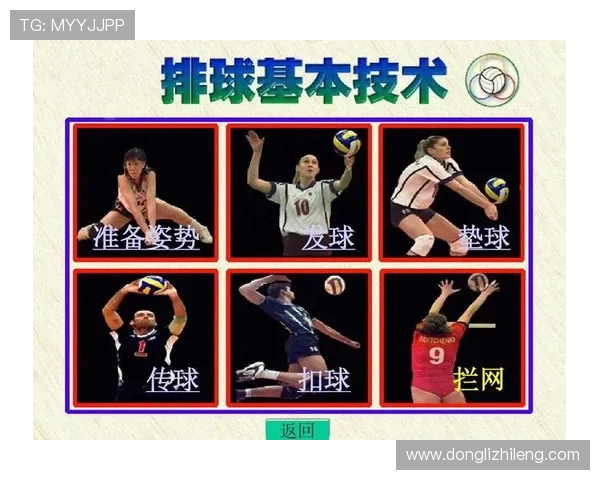 排球盛宴：深入解析上海排球队的战术与技术之美