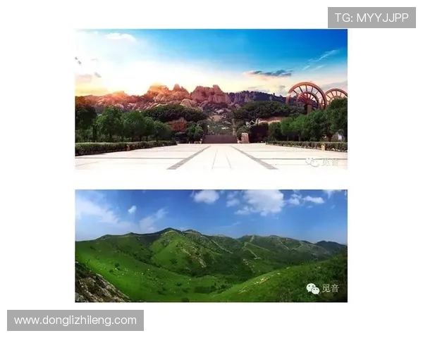 极限运动战术解析杭州极限运动队的创新进攻体系与战术布局