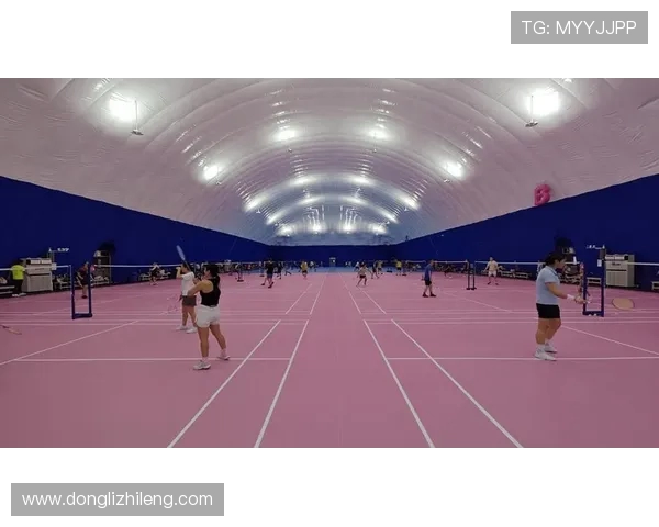 深圳羽毛球队状态引发热议球迷对表现和未来发展各抒己见