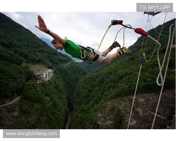 深圳极限运动队与南京极限运动队赛后状态分析与总结