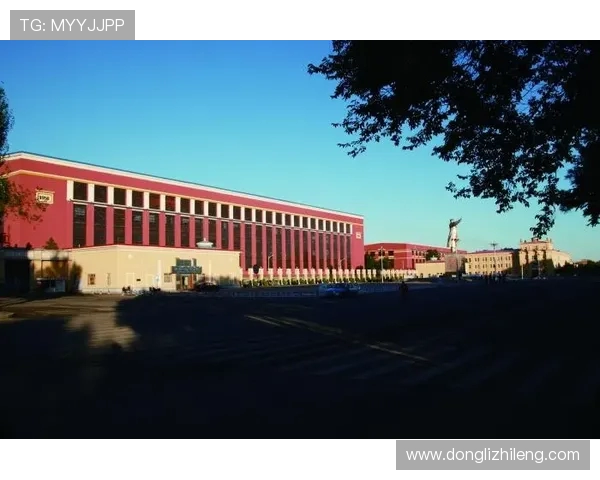 上海排球队防守革新之路探秘与技术分析 上海排球队防守革新之路探秘与技术分析