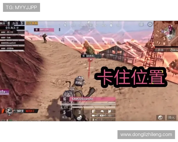 和平精英心理素质排行榜揭晓WE战队荣登第五名引发热议