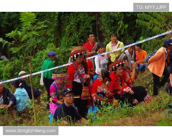 广州攀岩队的节奏分析与反思探讨攀岩竞技的得失之道